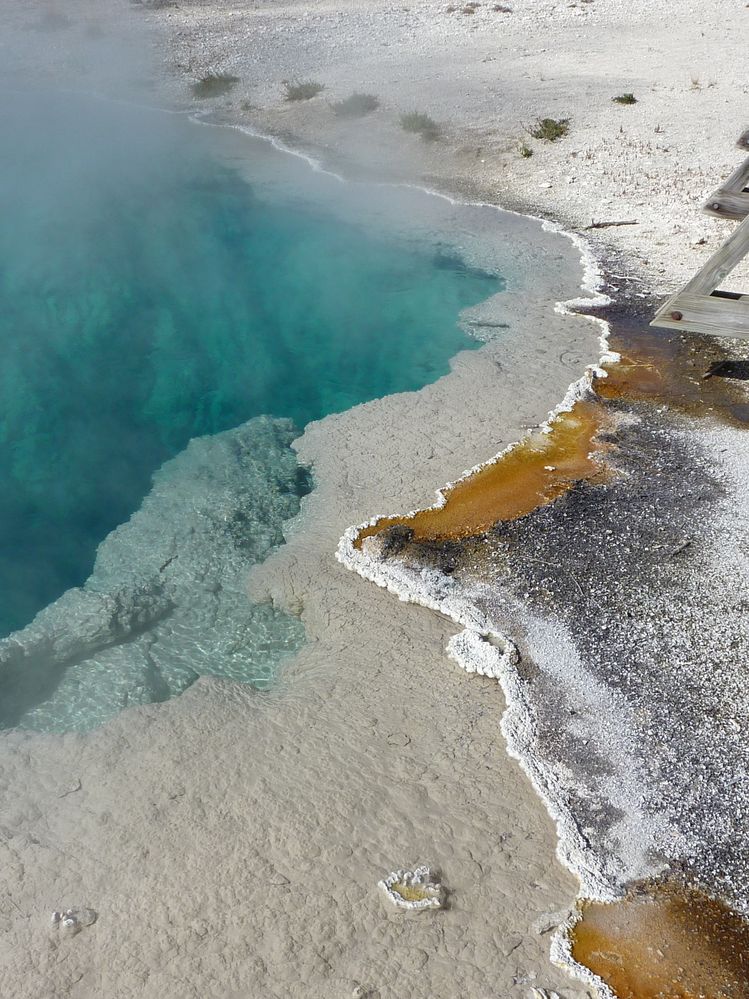 Yellowstone West Thumb Area (28).JPG